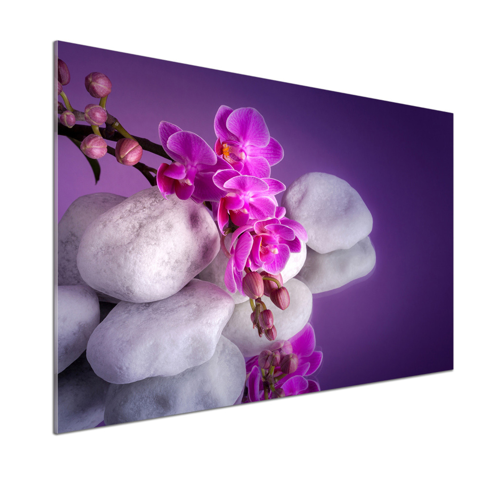 Cooker splashback Orchid