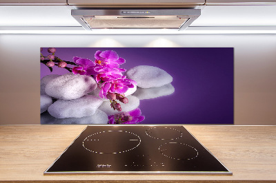 Cooker splashback Orchid