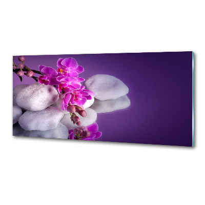 Cooker splashback Orchid