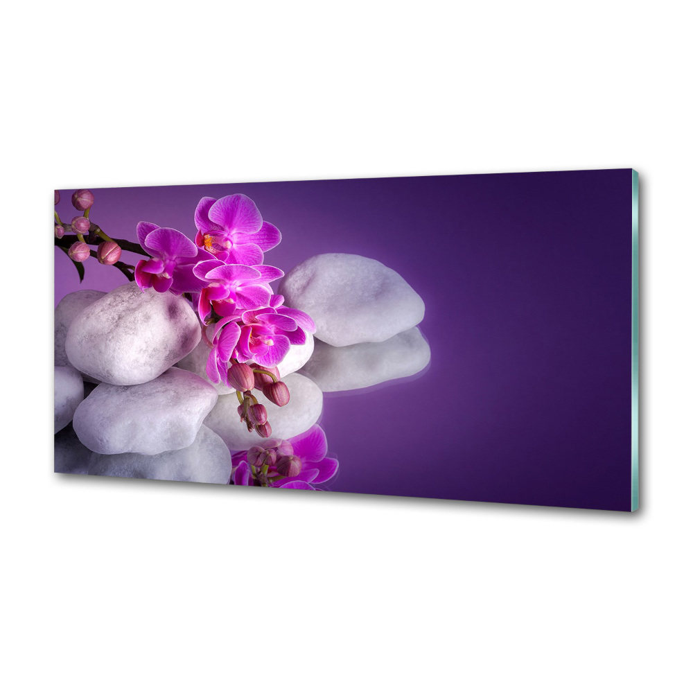 Cooker splashback Orchid