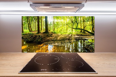 Cooker splashback Pond in the forest