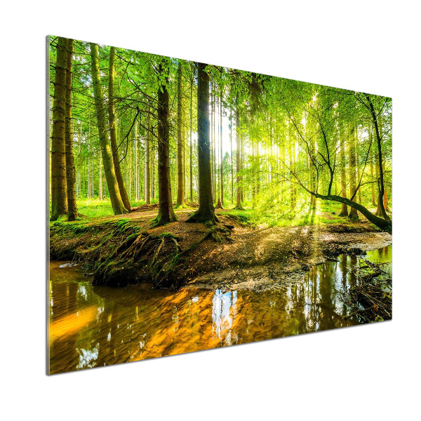 Cooker splashback Pond in the forest