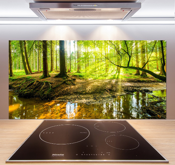 Cooker splashback Pond in the forest