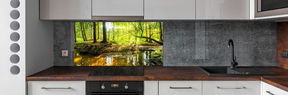 Cooker splashback Pond in the forest