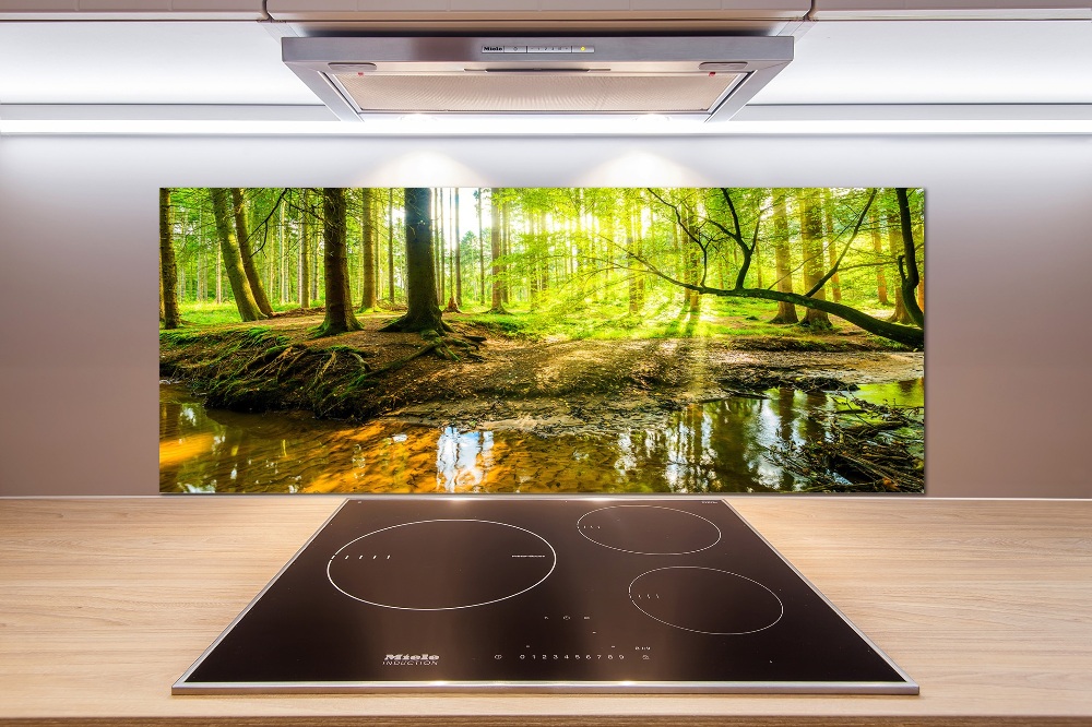 Cooker splashback Pond in the forest