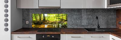 Cooker splashback Pond in the forest