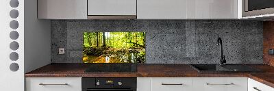 Cooker splashback Pond in the forest