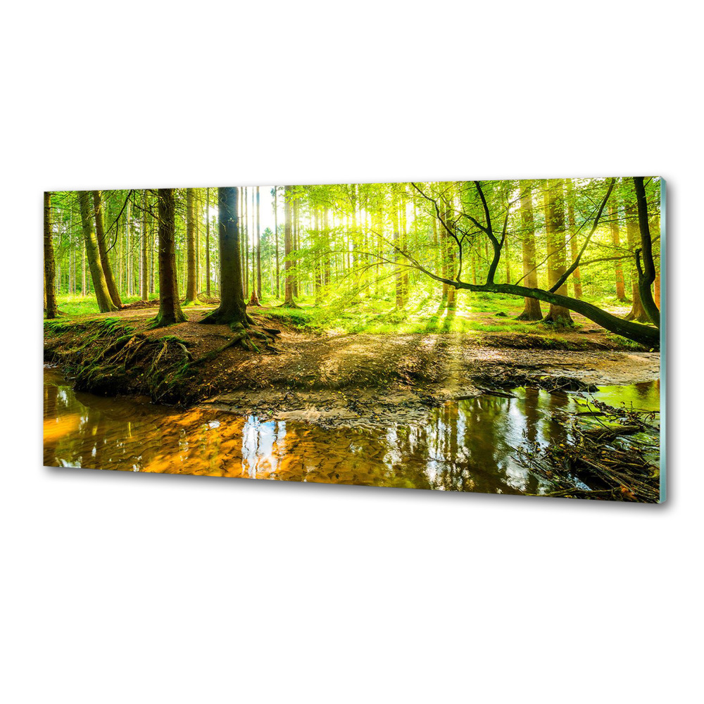 Cooker splashback Pond in the forest