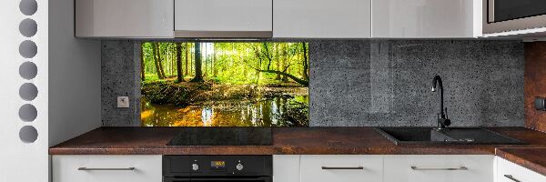 Cooker splashback Pond in the forest