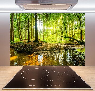 Cooker splashback Pond in the forest