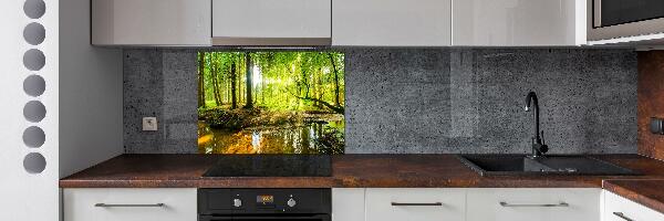 Cooker splashback Pond in the forest