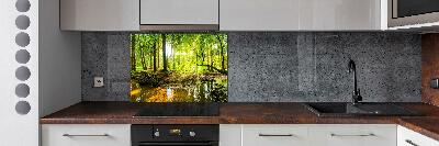 Cooker splashback Pond in the forest