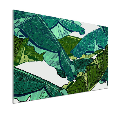 Cooker splashback Banana leaves