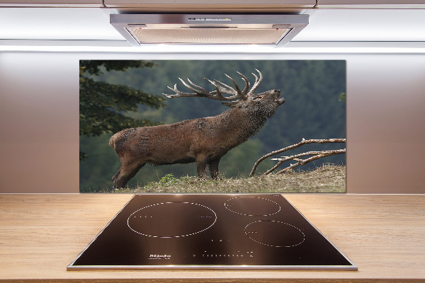 Cooker splashback Deer on the hill