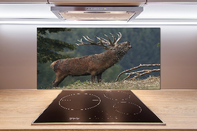 Cooker splashback Deer on the hill