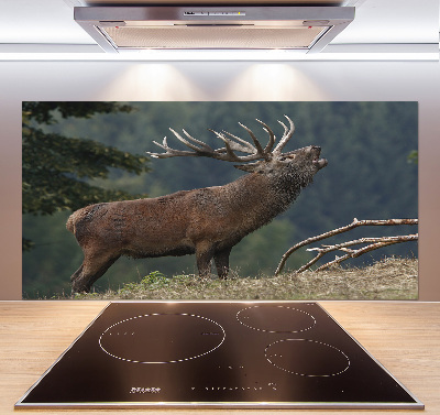 Cooker splashback Deer on the hill