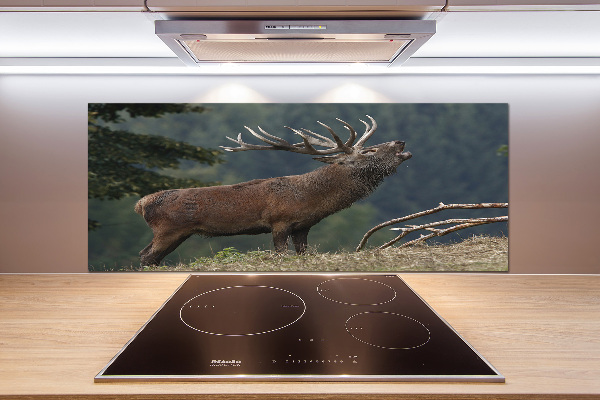 Cooker splashback Deer on the hill