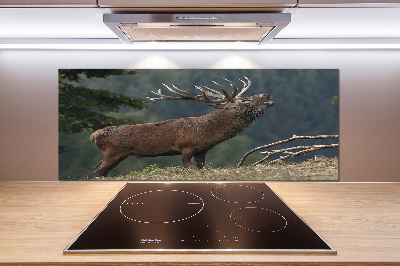 Cooker splashback Deer on the hill