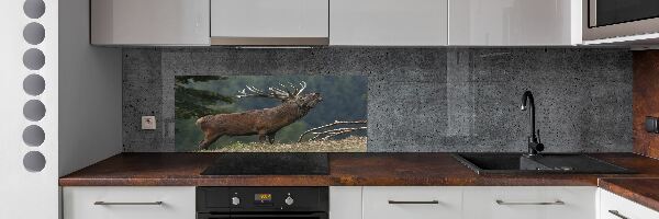 Cooker splashback Deer on the hill