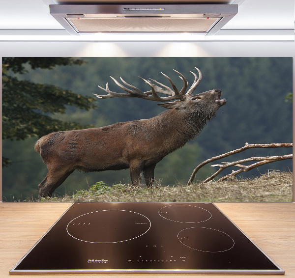 Cooker splashback Deer on the hill