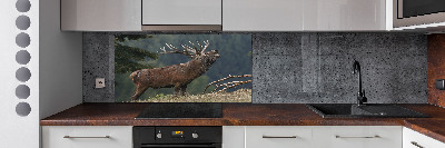 Cooker splashback Deer on the hill