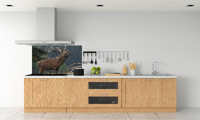 Cooker splashback Deer on the hill