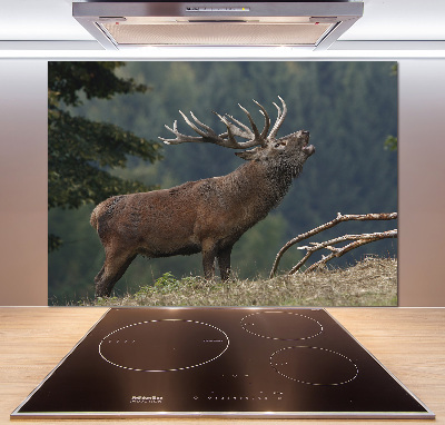 Cooker splashback Deer on the hill