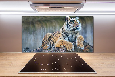 Cooker splashback Tiger