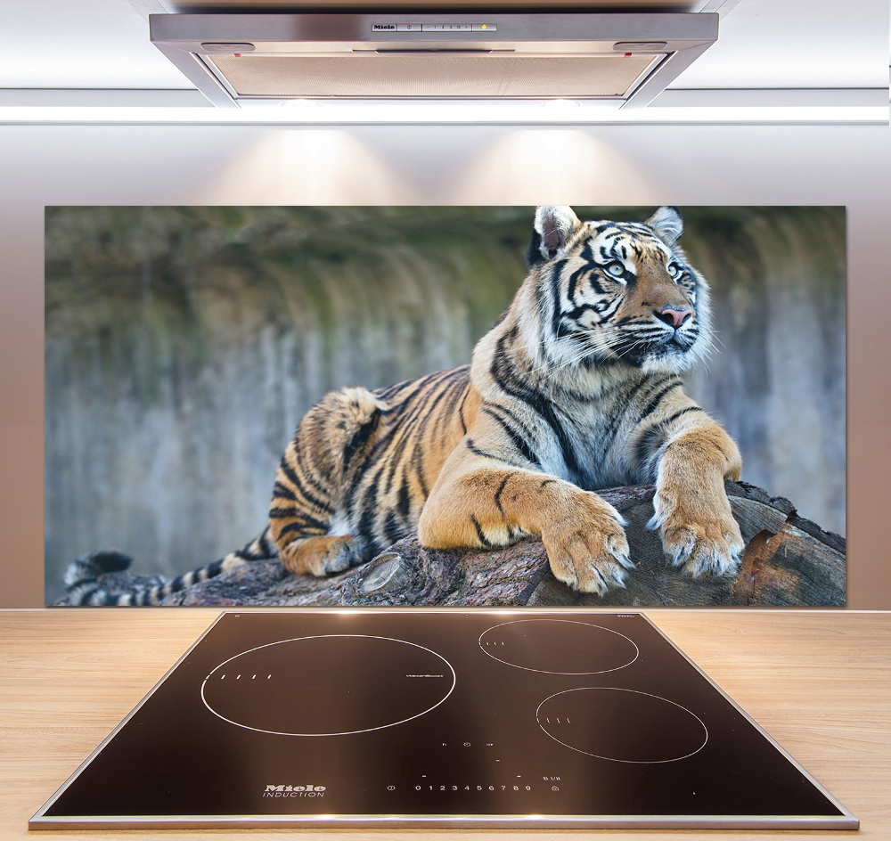 Cooker splashback Tiger