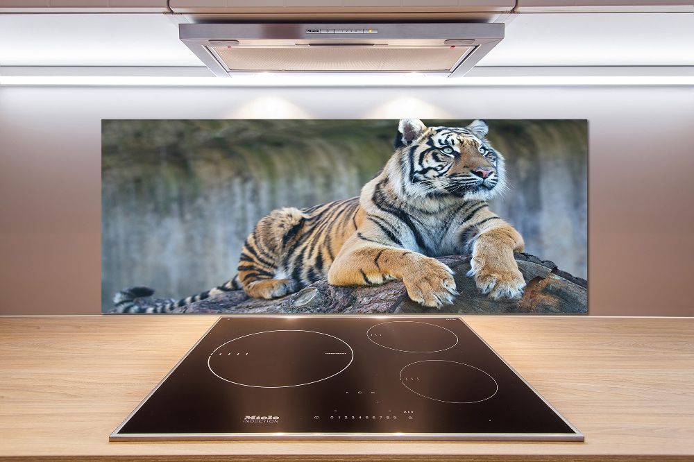 Cooker splashback Tiger