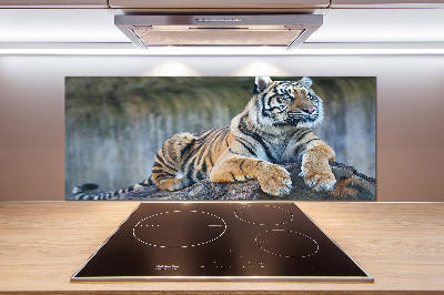 Cooker splashback Tiger