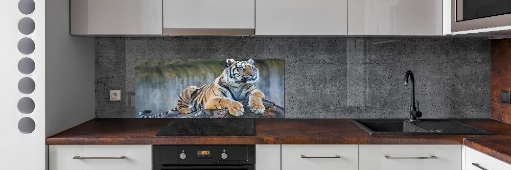 Cooker splashback Tiger