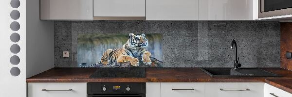 Cooker splashback Tiger