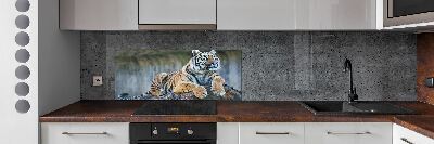 Cooker splashback Tiger