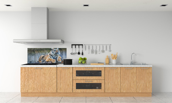 Cooker splashback Tiger