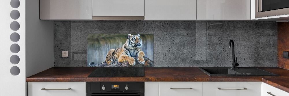 Cooker splashback Tiger