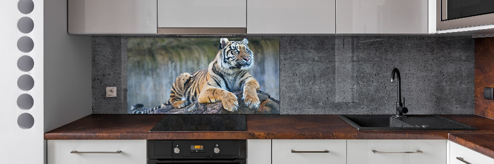 Cooker splashback Tiger