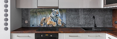 Cooker splashback Tiger