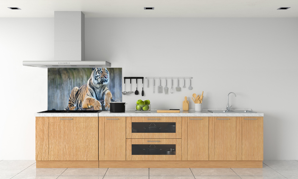 Cooker splashback Tiger