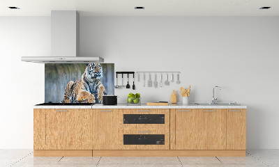 Cooker splashback Tiger