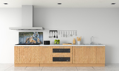 Cooker splashback Tiger