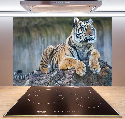 Cooker splashback Tiger