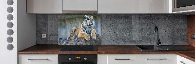 Cooker splashback Tiger