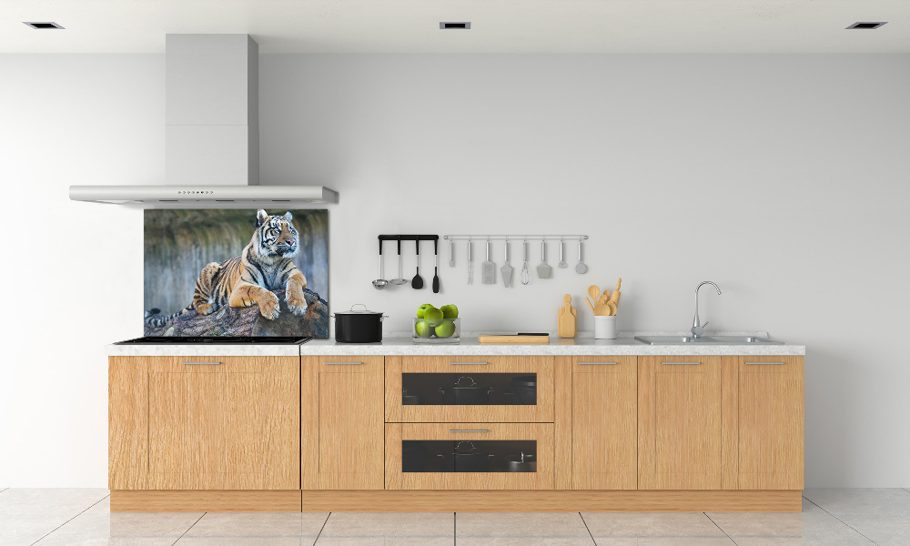 Cooker splashback Tiger