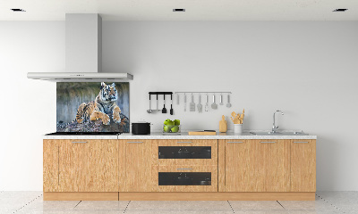 Cooker splashback Tiger