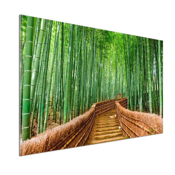 Cooker splashback Bamboo forest