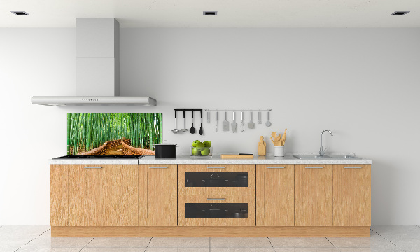 Cooker splashback Bamboo forest