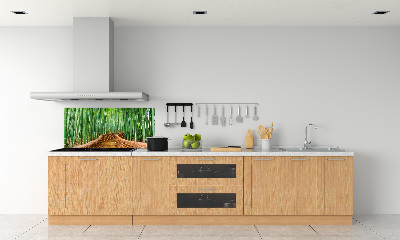 Cooker splashback Bamboo forest