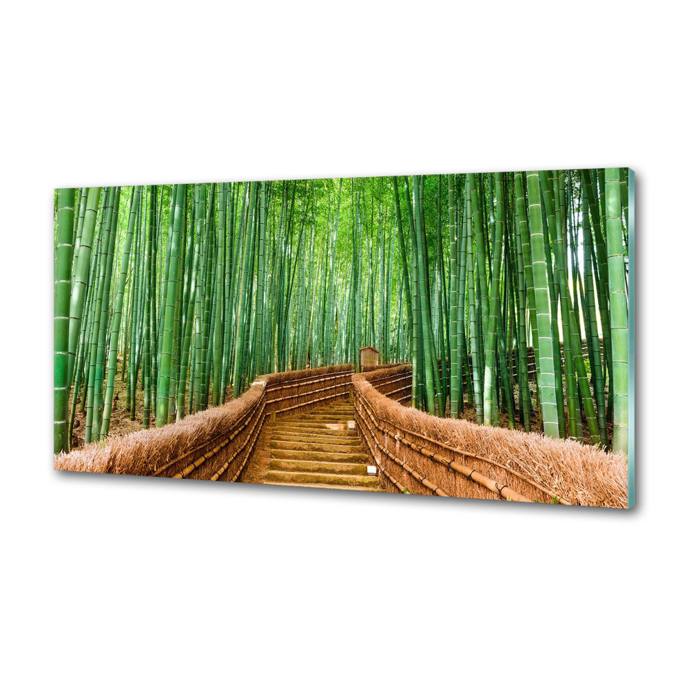 Cooker splashback Bamboo forest