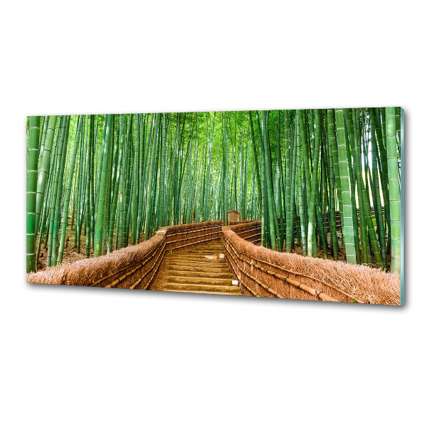 Cooker splashback Bamboo forest